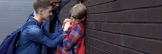 School, Hazing and Bullying Injuries to Children